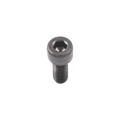 TAIKI M16 x 40 Jaw T-Nut Screw for 12" Chucks (3900-4799)