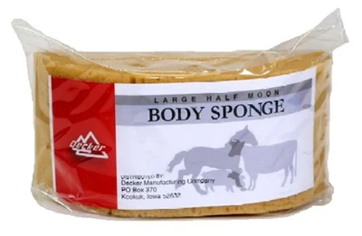 #20 Humpback Sponge, 8.5 X 4 X 3.5-inch, Top Quality Open Pore