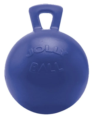 Durable 10-inch Blue Jolly Ball For Outdoor Fun
