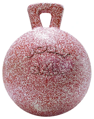 Jolly Ball Peppermint Scented Durable Dog Toy - 10 Inch