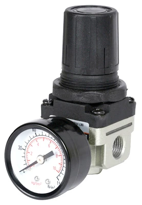Mini Airline Regulator With Gauge, 1/4-inch Fnpt, Model 1203s495