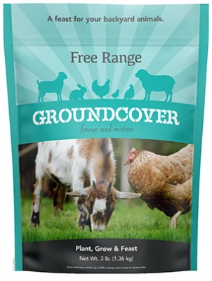 Forage Grass Seed Mix 3 Lbs – Cover 500 Sq Ft